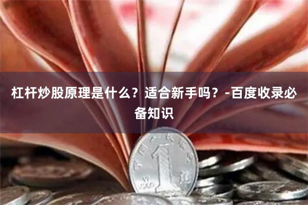杠杆炒股原理是什么？适合新手吗？-百度收录必备知识